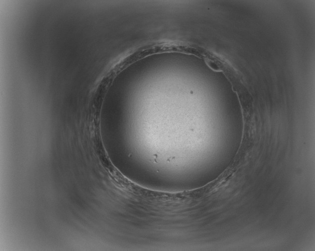 X0000067911207200604201355