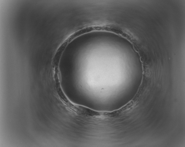 X0000067911208200604201355