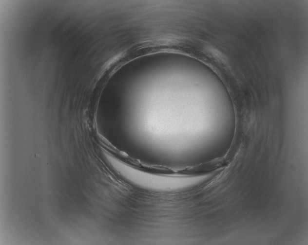 X0000067911210200604201355