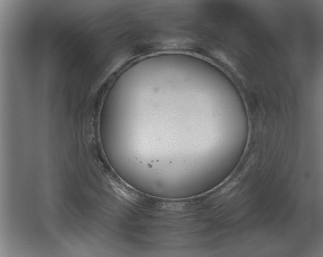 X0000067911211200604201355