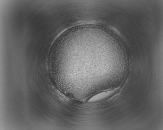 X0000067911212200604201355