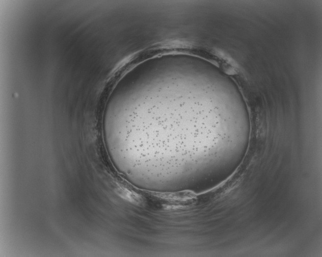 X0000067911213200604201355