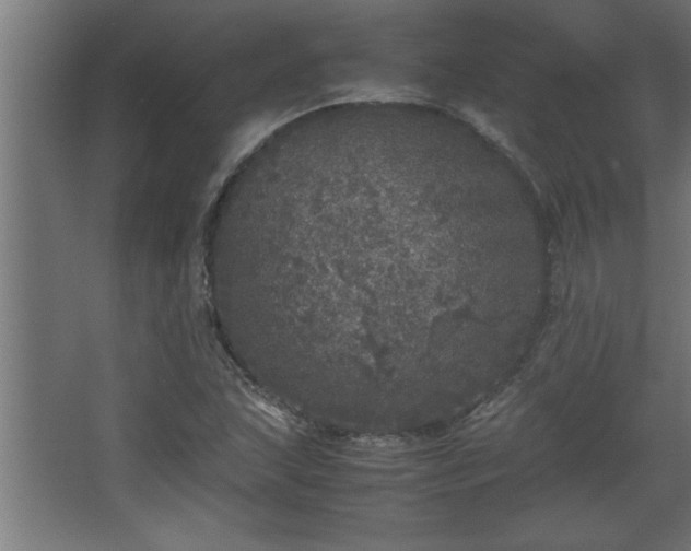 X0000067911215200604201356