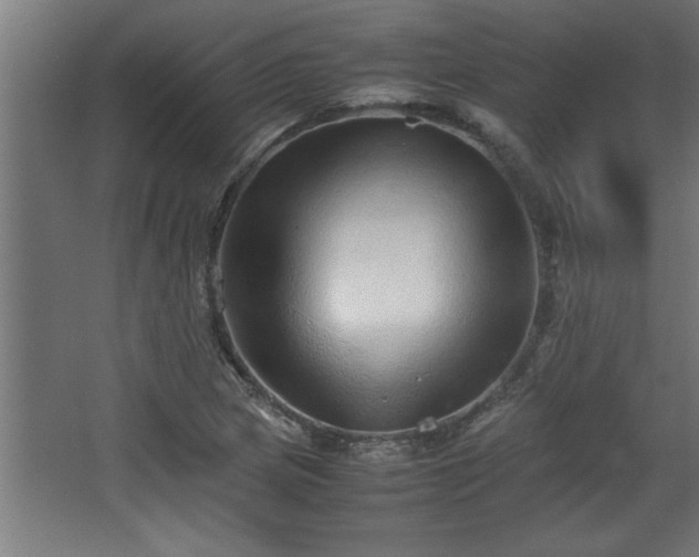 X0000067911217200604201356