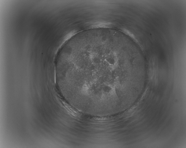 X0000067911219200604201356