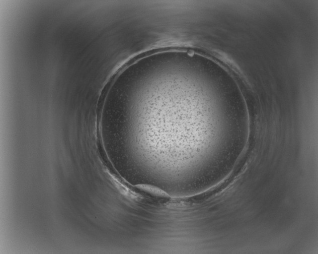 X0000067911220200604201356