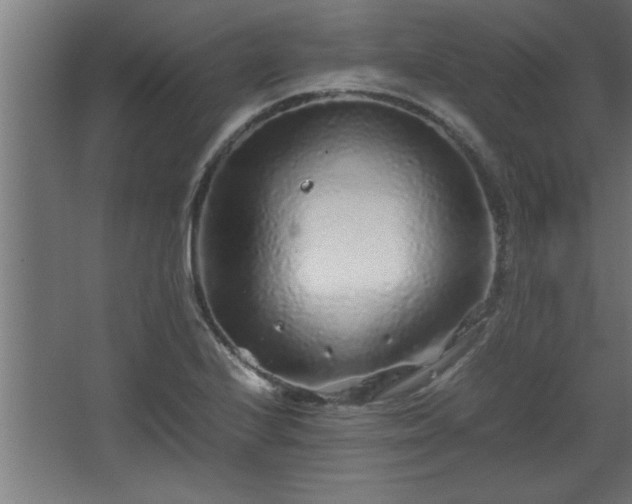 X0000067911224200604201356