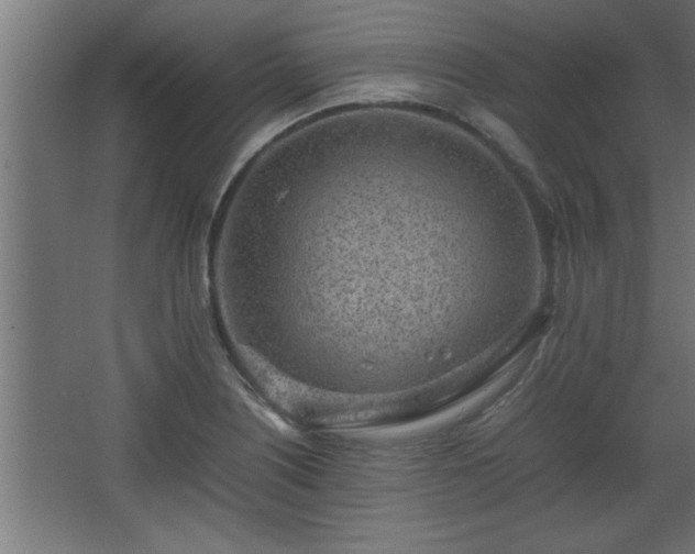 X0000067911226200604201356