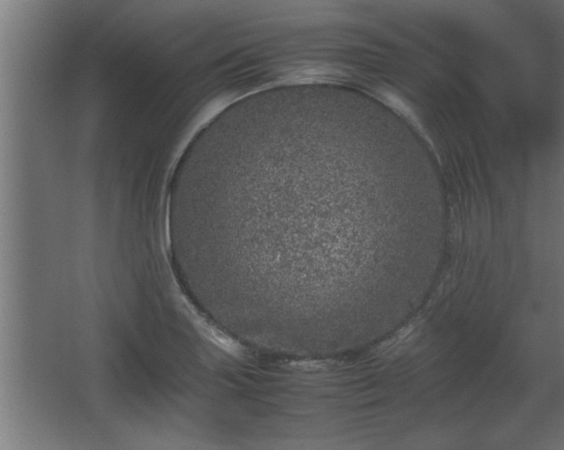 X0000067911227200604201356