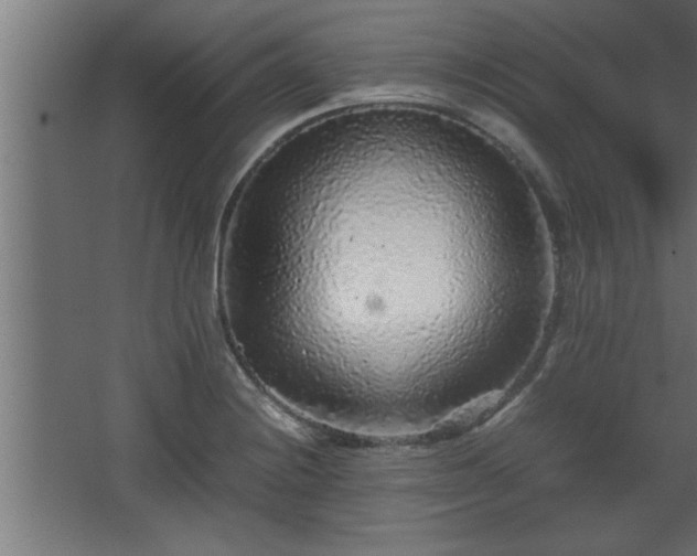 X0000067911228200604201356