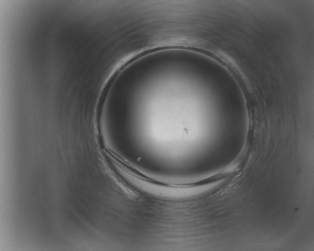 X0000067911230200604201356