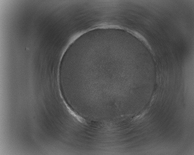 X0000067911231200604201356