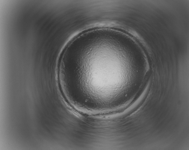 X0000067911232200604201356