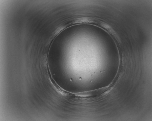 X0000067911233200604201356