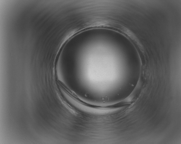 X0000067911234200604201356