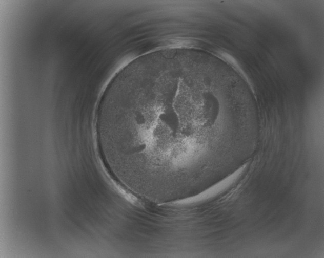 X0000067911235200604201356