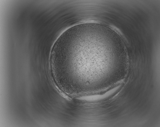 X0000067911236200604201356