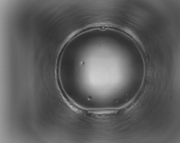 X0000067911237200604201356