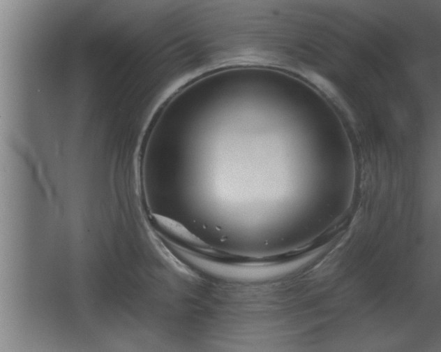 X0000067911238200604201356