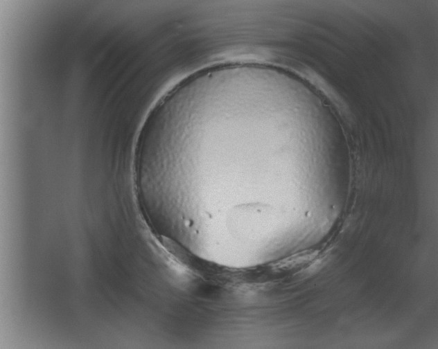 X0000067911240200604201356