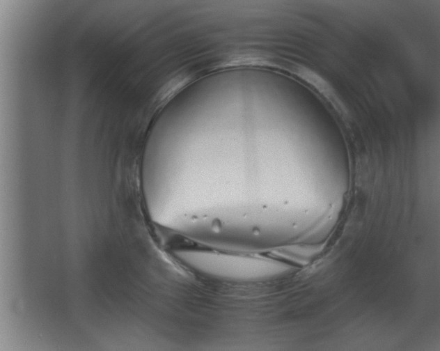 X0000067911241200604201356