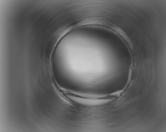 X0000067911242200604201356