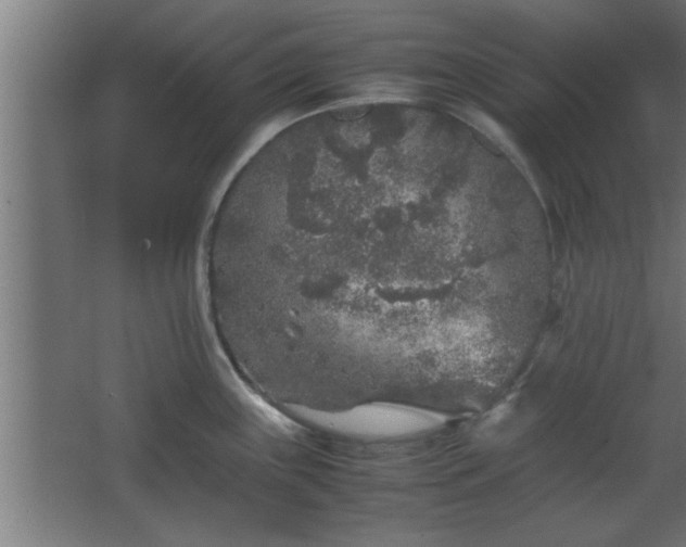 X0000067911243200604201356