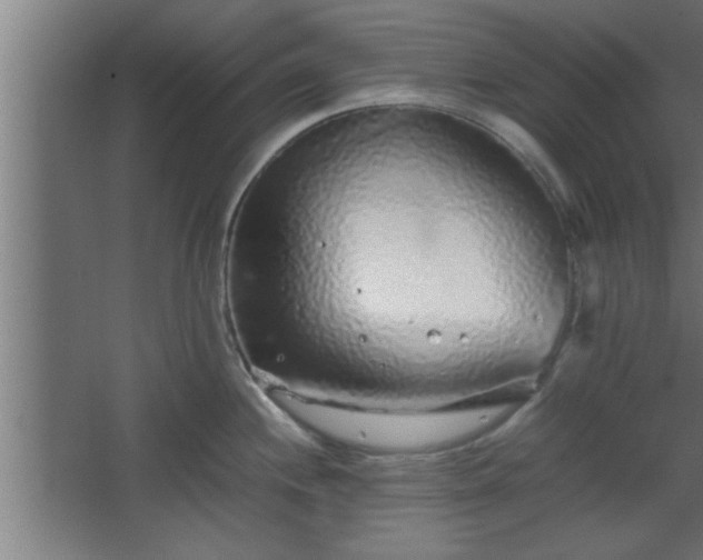 X0000067911244200604201356