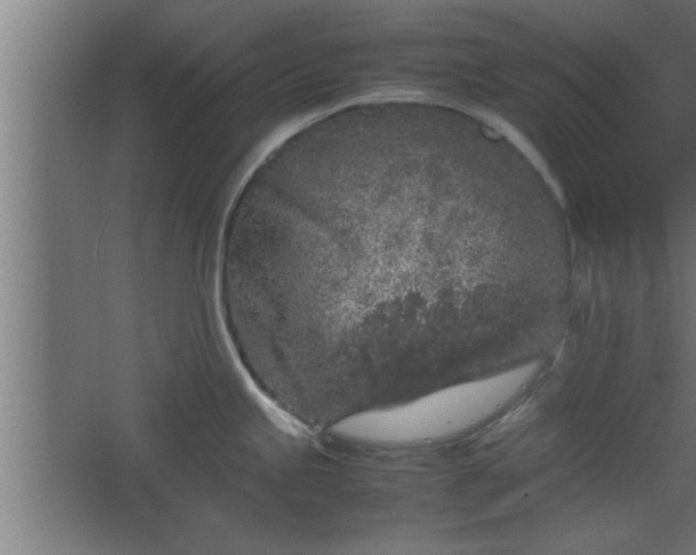 X0000067911245200604201356