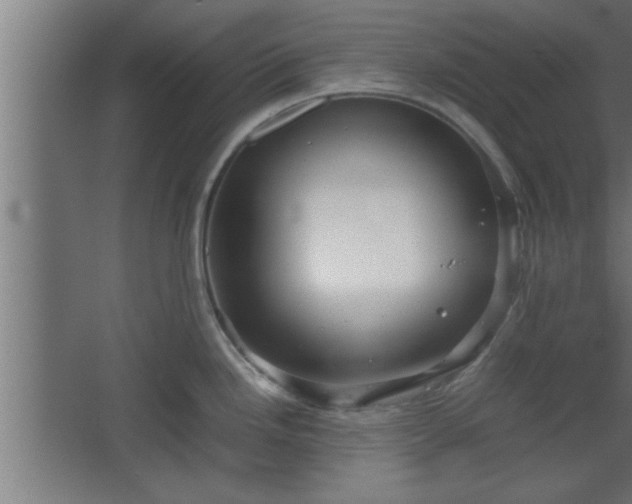 X0000067911246200604201356