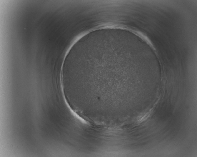 X0000067911247200604201356