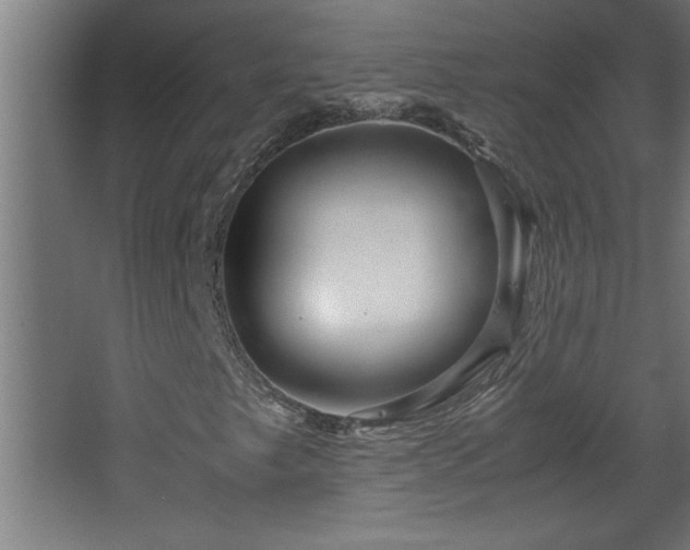 X0000067911249200604201355