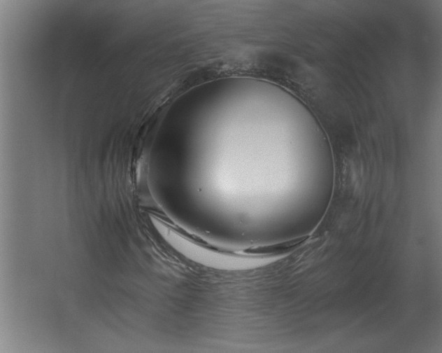 X0000067911250200604201355