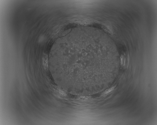 X0000067911251200604201355