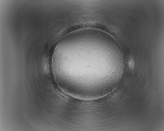 X0000067911252200604201355