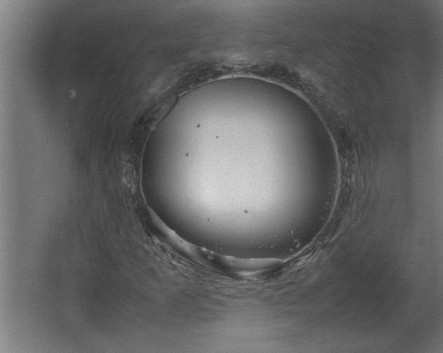 X0000067911253200604201355