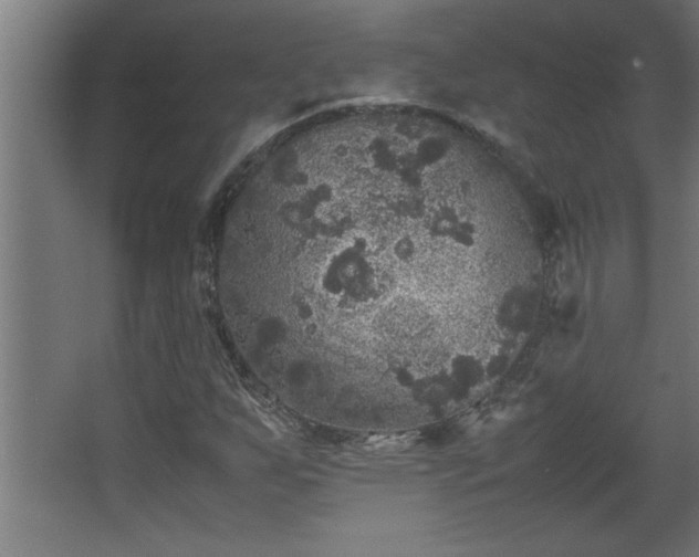 X0000067911255200604201355