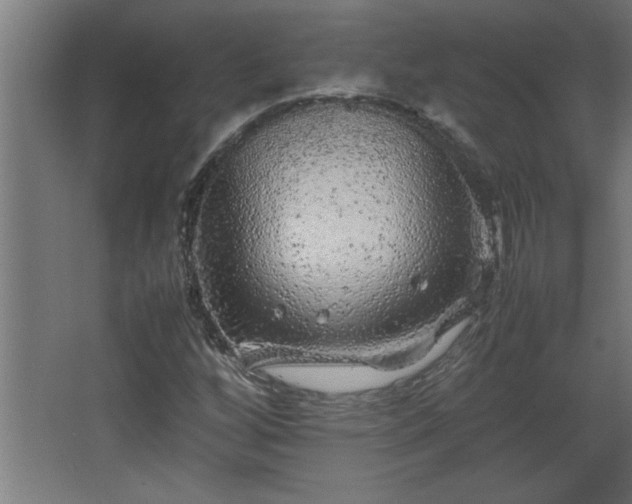 X0000067911256200604201355