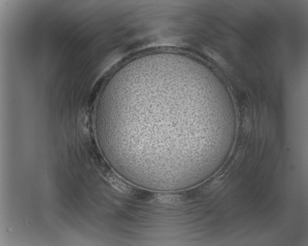 X0000067911258200604201355