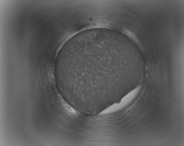 X0000067911260200604201355