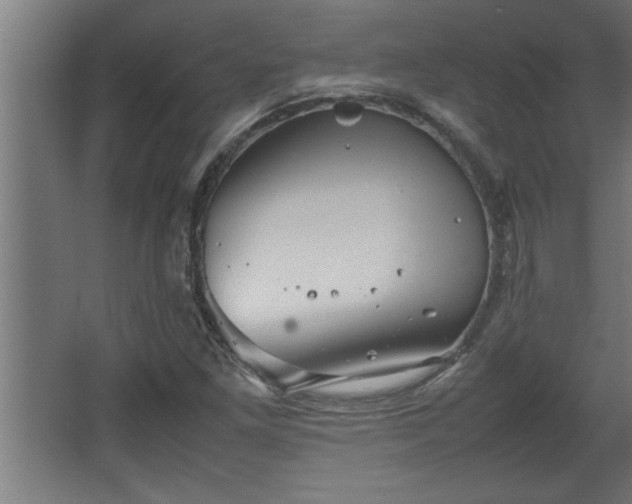 X0000067911261200604201355