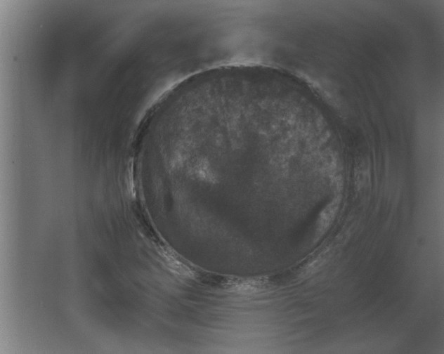 X0000067911262200604201355