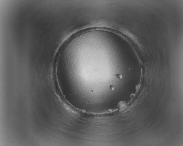 X0000067911264200604201355