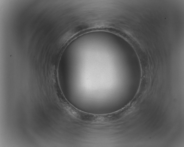 X0000067911265200604201355