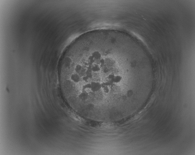 X0000067911267200604201355