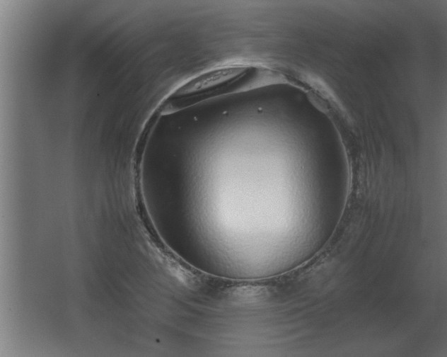 X0000067911268200604201355