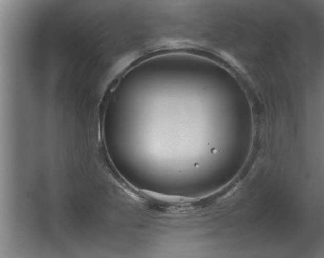 X0000067911269200604201355