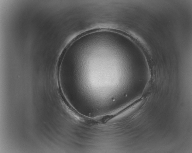 X0000067911272200604201355