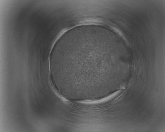 X0000067911275200604201355