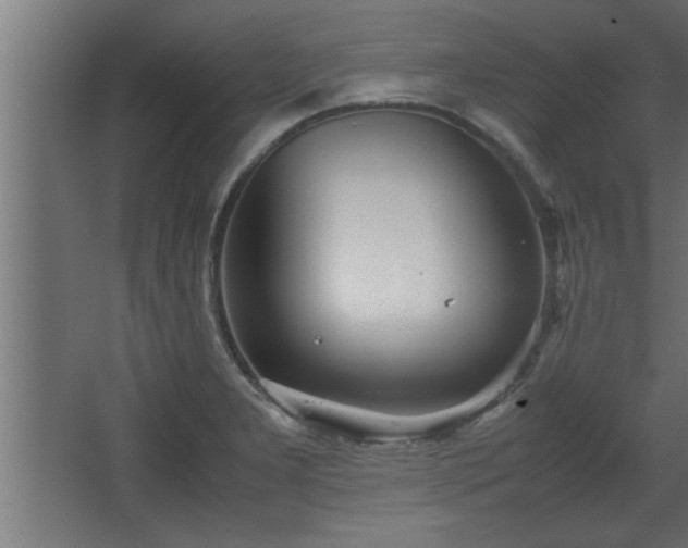 X0000067911277200604201355